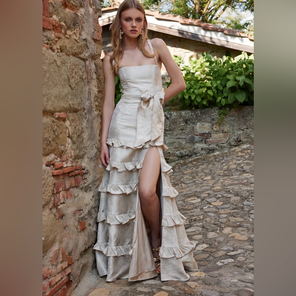 V Chapman Piana Dress Taupe Windsor Brocade NWT